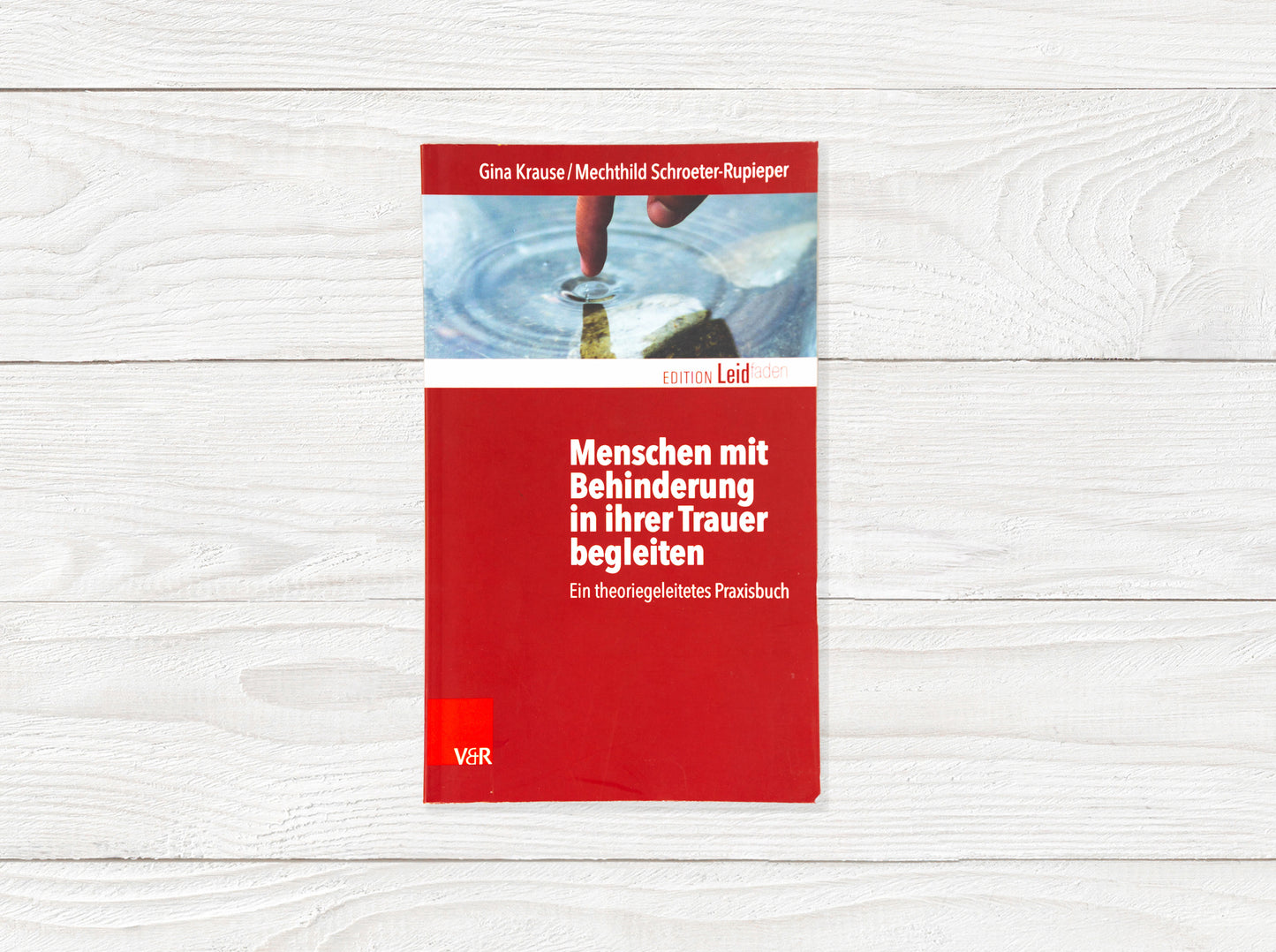 Menschen mit Behinderung in ihrer Trauer begleiten: Ein theoriegeleitetes Praxisbuch (Edition Leidfaden: Basisqualifikation Trauerbegleitung)